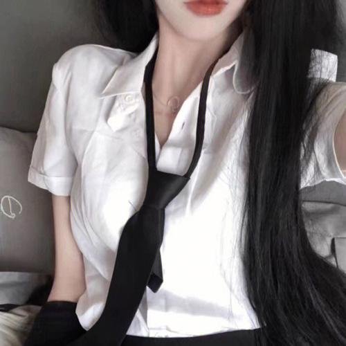 西线平魔 海报